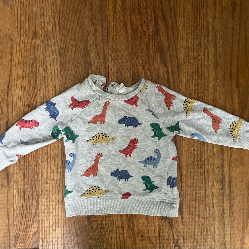 ⭐️Bundle 5 for $30 - H&M Dinosaur Print Sweatshirt